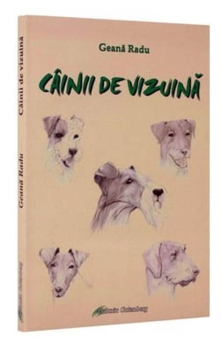 CAINII DE VIZUINA