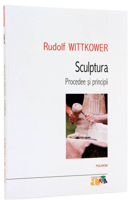 SCULPTURA PROCEDEE SI PRINCIPII