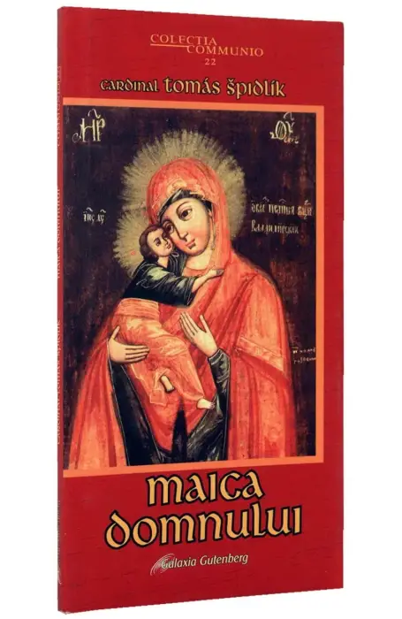 MAICA DOMNULUI