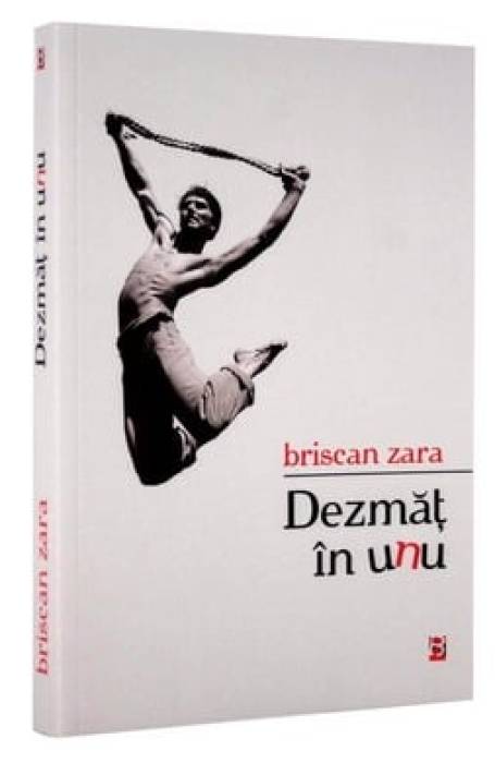 DEZMAT IN UNU