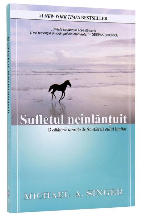SUFLETUL NEINLANTUIT
