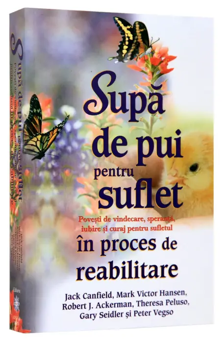 SUPA DE PUI IN PROCES DE REABILITARE